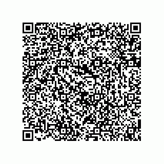 vCard 74873321219