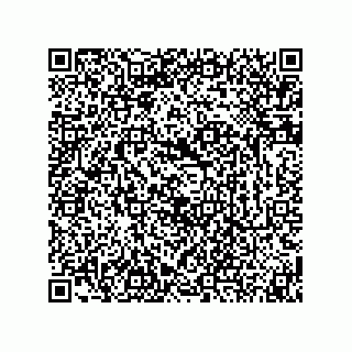 vCard 74873321279