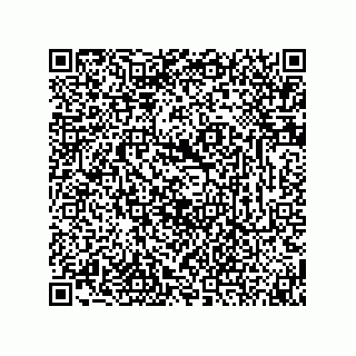 vCard 74873321333