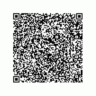 vCard 74873321335