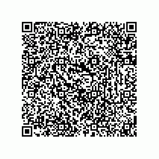 vCard 74873321337