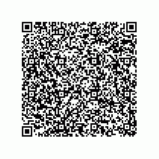 vCard 74873321338