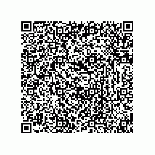 vCard 74873321379