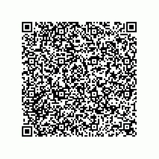 vCard 74873321381