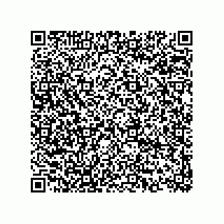 vCard 74873321383
