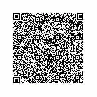 vCard 74873321387