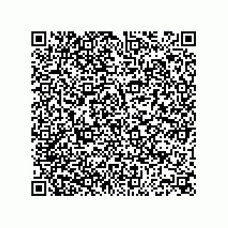 vCard 74873331310