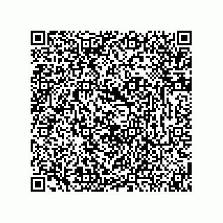 vCard 74873331311