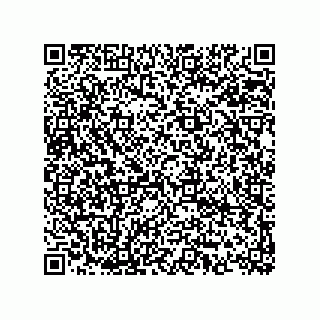 vCard 74873331313