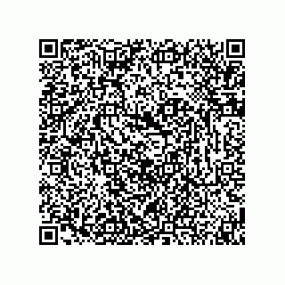 vCard 74873331319