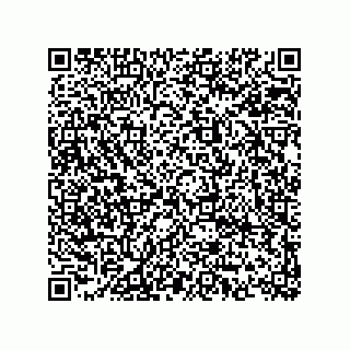 vCard 74873331321
