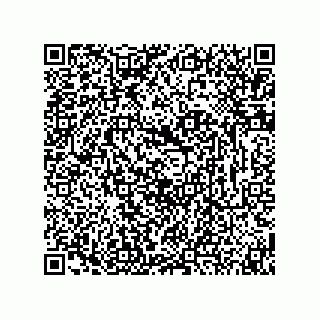 vCard 74873331329