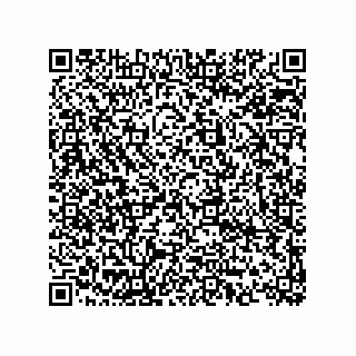 vCard 74873331331