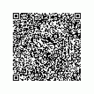 vCard 74873331332