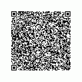 vCard 74873331334