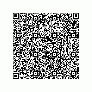 vCard 74873331335