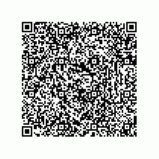 vCard 74873331353