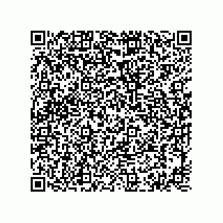vCard 74873433332
