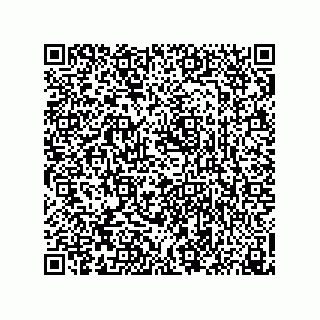 vCard 74873433385