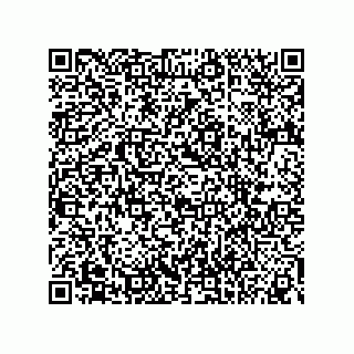 vCard 74873573199
