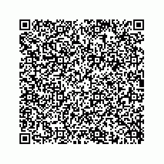 vCard 74876293738