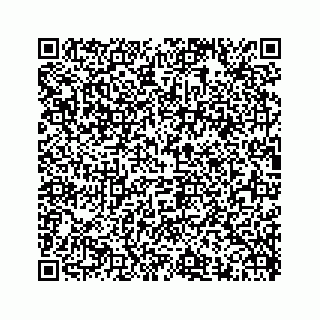 vCard 74876293879