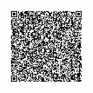 vCard 74876293887