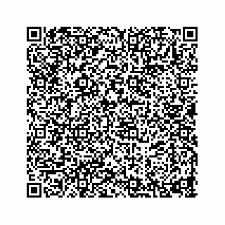 vCard 74876295119