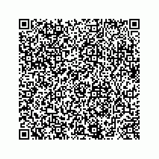 vCard 74876295399