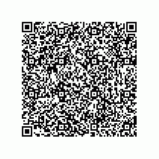 vCard 74913128711