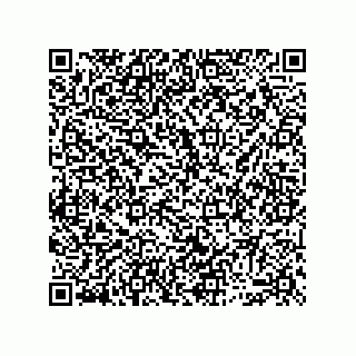 vCard 74913133003