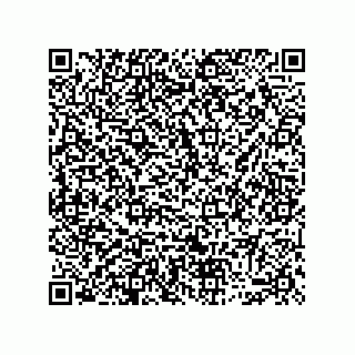 vCard 74913133101