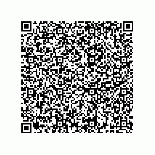 vCard 74913133131
