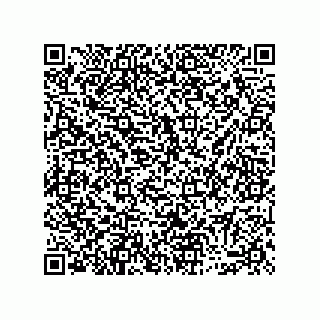 vCard 74913133305