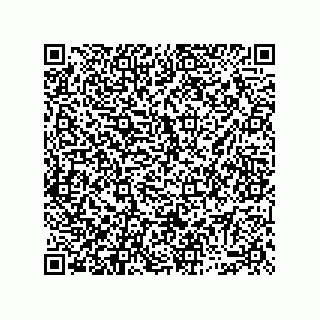 vCard 74913133307