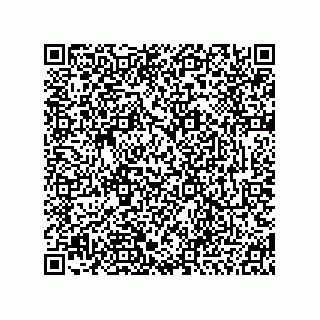 vCard 74913190385