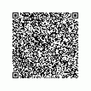 vCard 74913190399