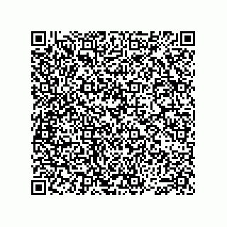 vCard 74913741839