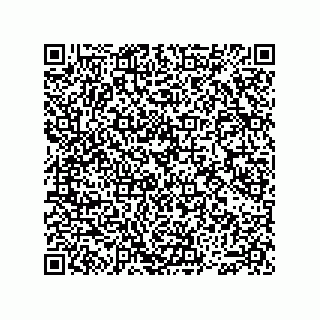 vCard 74913750399
