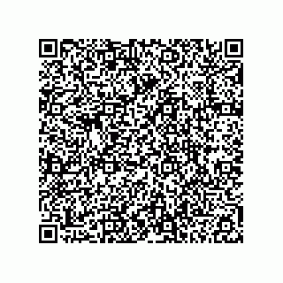 vCard 74915538702