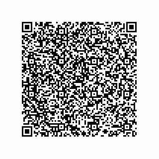 vCard 74915538703