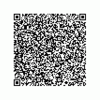 vCard 74915538704