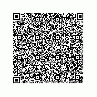 vCard 74915538710