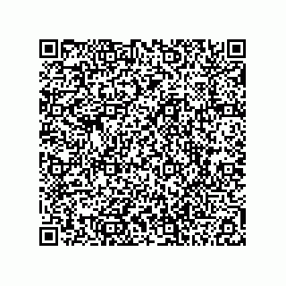 vCard 74915538795