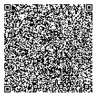 vCard 74922373379