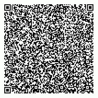 vCard 74922494198