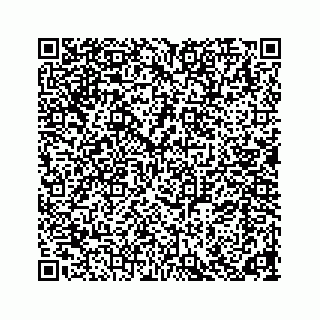 vCard 74923279199