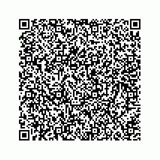 vCard 74923279213