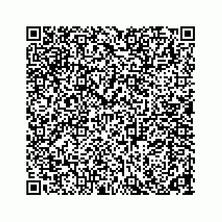 vCard 74923279313