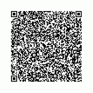 vCard 74923335209